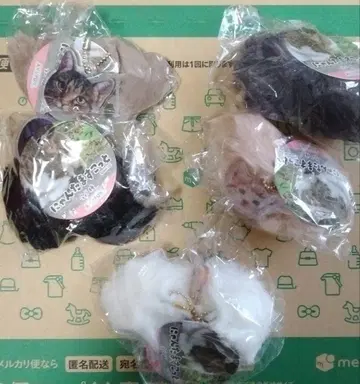 3, 냥타마 마스코트 5종