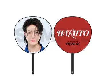 TREASURE 하루토 부채 PULSEON