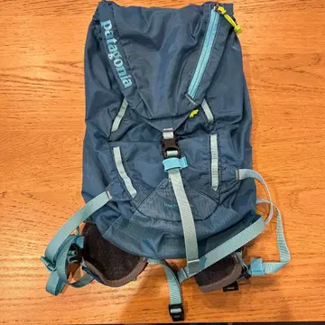 patagonia 아웃도어 백팩 네이비