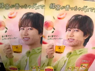 Lipton 클리어 파일 2장 세트 아베 료헤이