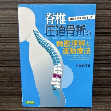 골다공증으로 인한 척추 압박 골절의 병태 이해와 운동 요법