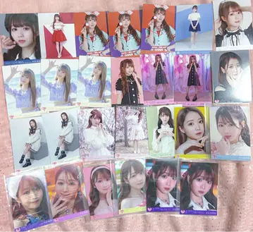 이코럽 오타니 에미리 브로마이드 장미 모음