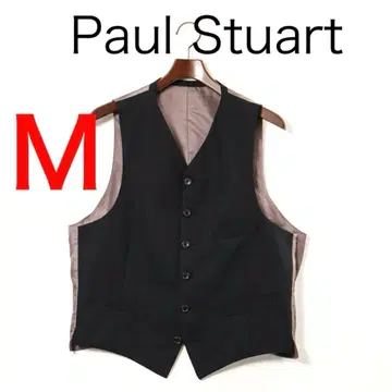 H3294 폴 스튜어트 섀도우 스트라이프 베스트