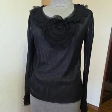 코시노 히로코 프리미어 상의