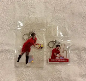 2025년 배구 VNL 일본 대표 미야우라 켄토 키링 2세트