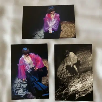 코이즈미 쿄코 엽서 3매 세트