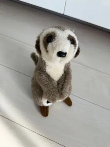 A-SHOW 미어캣 봉제 인형 인형 마스코트 동물원 구매