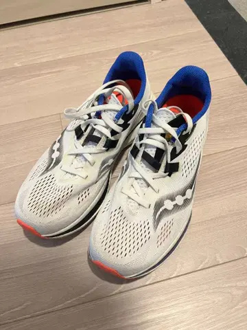 Saucony 엔돌핀 프로 2 26cm