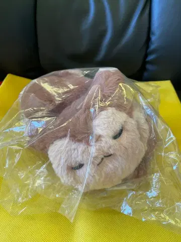 포켓몬 센터 오오타치 머플러