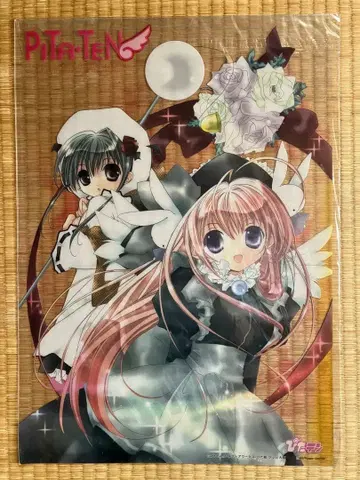 피타텐 클리어 포스터