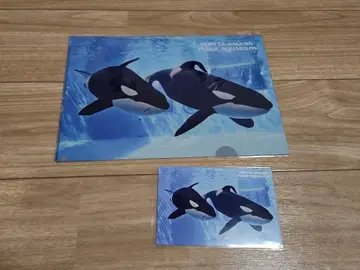 나고야항 수족관 범고래 2개 세트