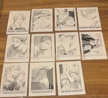 기븐전 ENCORE 파샤코레 Premium 하루키 아키히코 전종