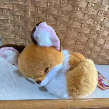 쵸콘과 여우 뱅글뱅글 졸음 봉제 인형 키나코