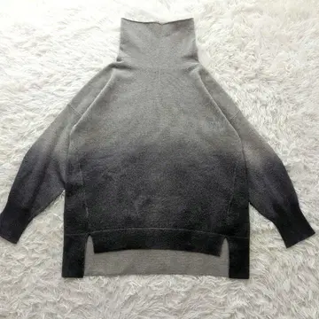 레어 파비아나 필리피 실크 캐시미어 그라데이션 하이넥 니트