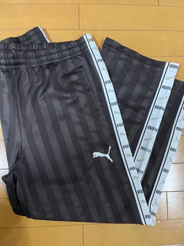 푸마 저지 하의