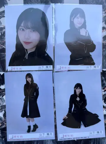 사쿠라자카46 13번째 봉입 야마시타 시즈키 컴프