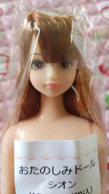 시온 오타노시미 인형 리카짱 캐슬