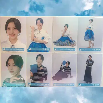 히나타자카46 코니시 나나미 [ 독서 코디+키미시카카탄 ] 2종 컴플리트