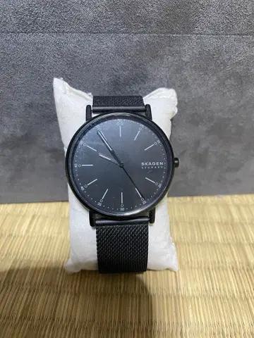 SKAGEN 블랙 메쉬 손목시계