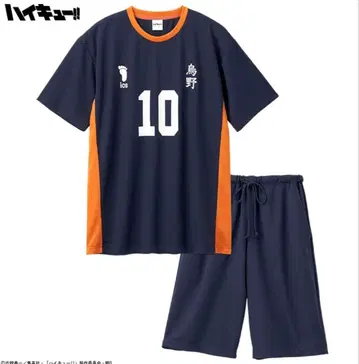 하이큐 시마무라 콜라보 카라스노 히나타