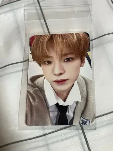 NCT WISH School of wish 유우시