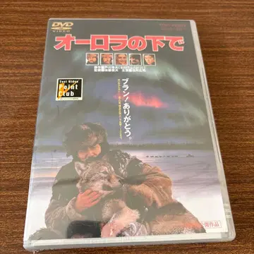 [ 미개봉품 ] 오로라 아래 DVD 야쿠쇼 코지 사쿠라다 준코