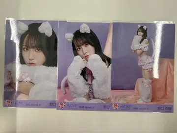 노구치 이오리 생사진 고양이 의상 컴프 이코러브 =LOVE