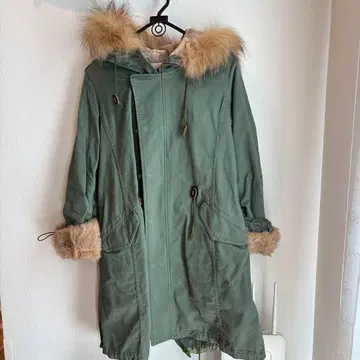 dendrobium 덴드로비움 퍼 아우터