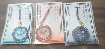 태평양 페리 유리 스트랩 3세트