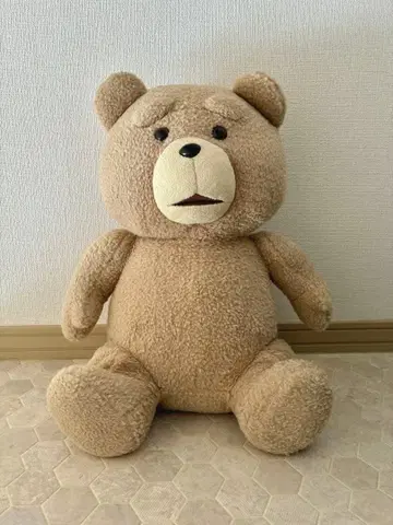 ted 테드 봉제 인형