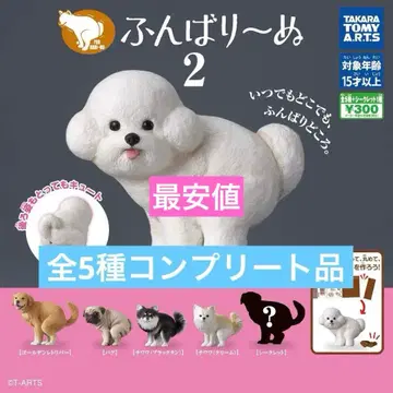 굼벵이 2종 5개 컴플리트 상품