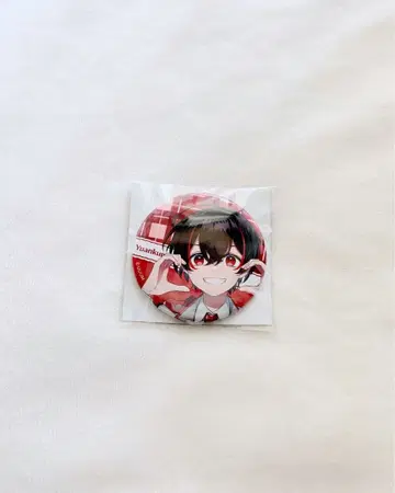 컬러풀피치 카라피치 파라피치 캔뱃지 유안군