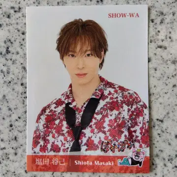 시오타 마사키 SHOW-WA 신 포카포카 스티커 포카포카 씰