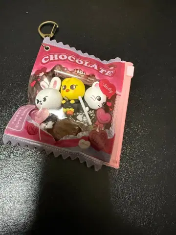 stray kids 스키즈 집어서 잇기 마스코트 댄스라차