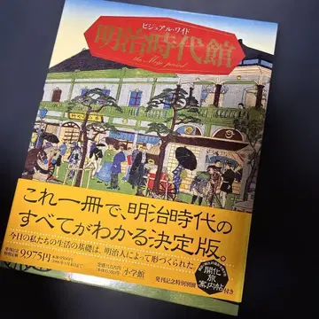 비주얼 와이드 메이지 시대관