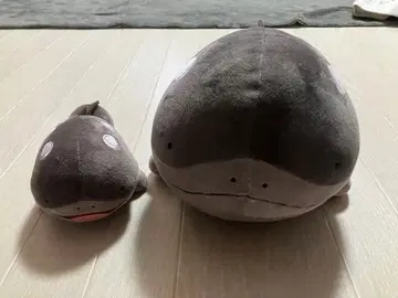 드오 포켓몬스터 봉제 인형 메챠모후굿토 & 마스코트 2세트