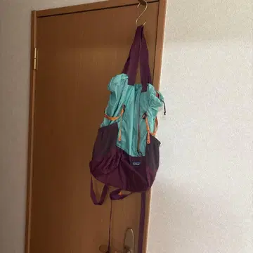 Patagonia 라이트웨이트 트래블 토트 팩