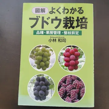 도해 잘 알기 쉬운 포도 재배