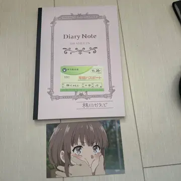 청춘 돼지 아즈사가와 카에데 노트 연간 패스포트 (애니메이션 내)
