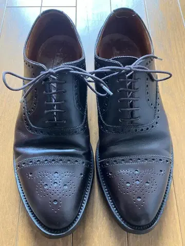 [ 새상품급 ] 프리미어 ENDLESS 브라운 윙 칩 UK8