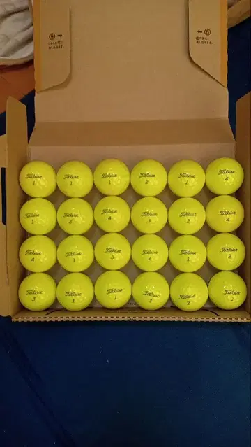 타이틀리스트 PROv1 옐로우 컬러 로스트볼 24구