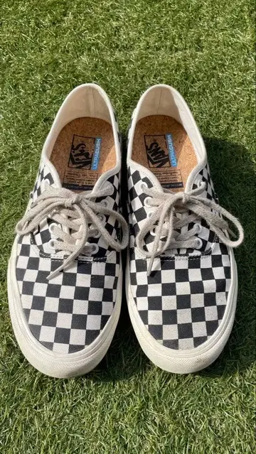 Vans 체커