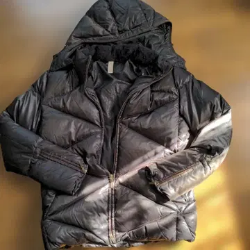 키쿠치 타케오의 다운 자켓