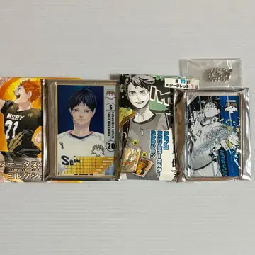 하이큐 카게야마 토비오 도미노풍 아크릴 키링 스탯 카드 컬렉션