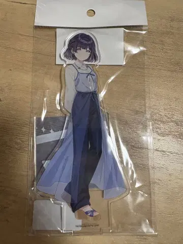 학마스 하타야 미스즈 아크릴 스탠드 스트릿 패션