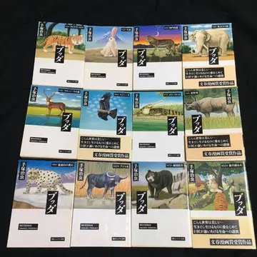 붓다 문고판 전권 세트 구 도서 중고품 비 렌탈품