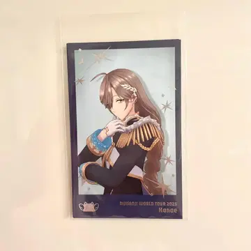 카나에 WORLD TOUR 2025 요코하마 폴라로이드풍 카드 세트