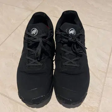 마무트 Ultimate Low GTX 신발 28cm