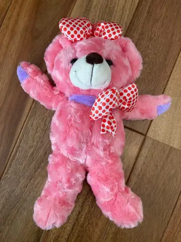 지역 한정 베어 레오마 월드 봉제 인형