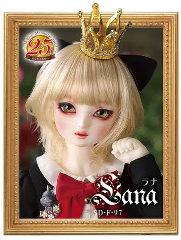 Dearsd 라나 풀세트 (메이크업 벗겨짐 있음) DSD